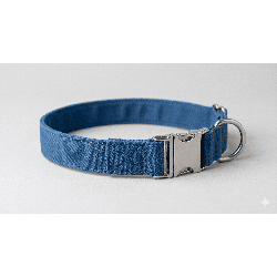 collier oxford bleu